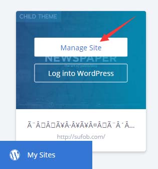 Bluehost manage site
